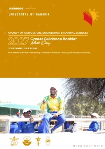 FaensGuideCover